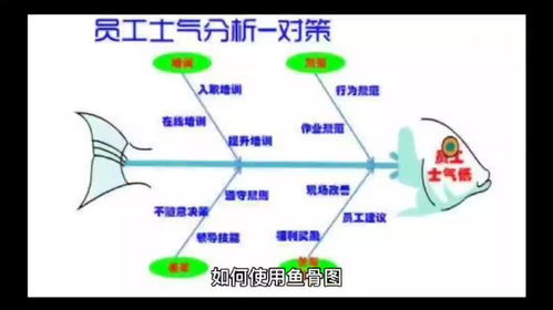 企業管理咨詢公司手把手教你 如何高效運用魚骨圖進行問題分析與解決